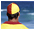 Travel Insurance