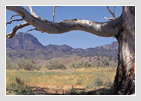 Flinders Range