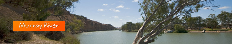 Murray River