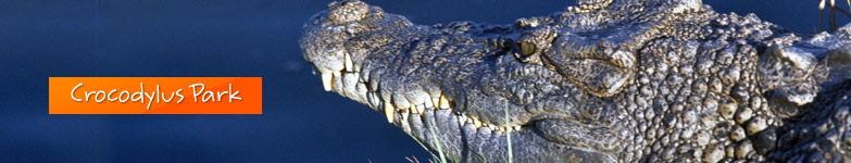Crocodylus Park