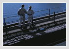 Sydney Harbour Bridge Climb