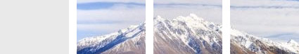 New Zealand Working Holiday Visa