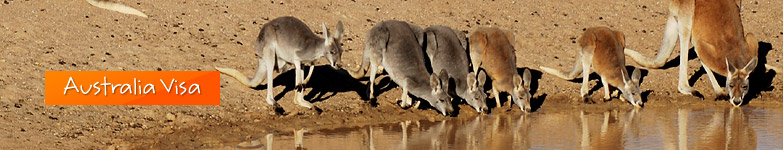 Australia Visa