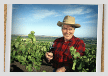 Fruit Picking in Australia